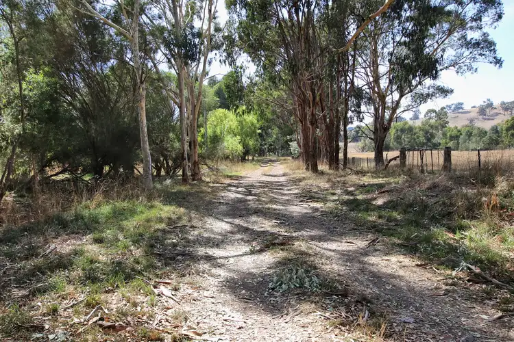 Second view of Homely rural property listing, 407 Maroondah Highway, Merton VIC 3715