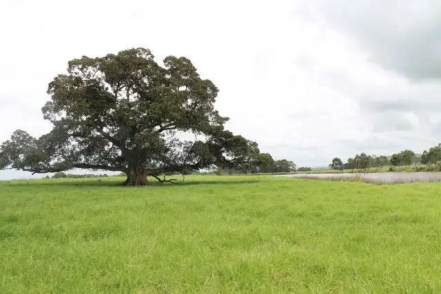 Second view of Homely land listing, Address available on request