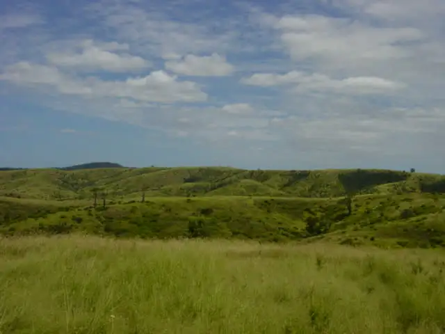 Third view of Homely rural property listing, Address available on request