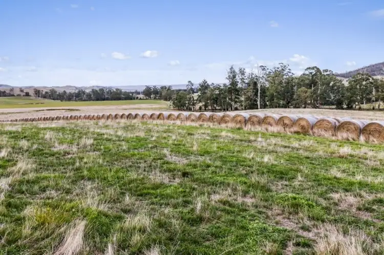 Second view of Homely rural property listing, 3635 Melba Highway, Glenburn VIC 3717