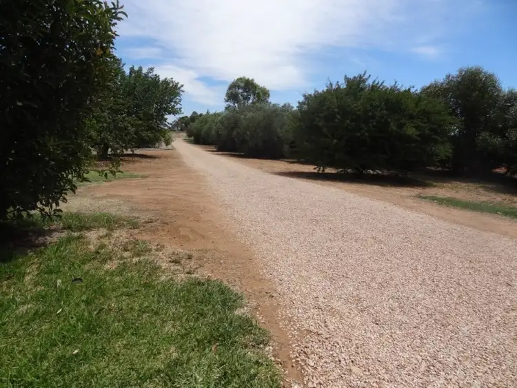 Second view of Homely house listing, 53 Konnung Avenue, Red Cliffs VIC 3496