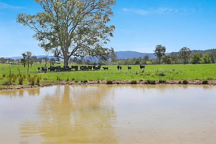 Sixth view of Homely rural property listing, 764 Chichester Dam Road, Bendolba Via, Dungog NSW 2420