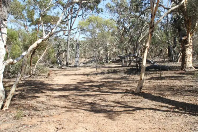 Second view of Homely rural property listing, LOT 13954 MINCHIN ROAD, Quairading WA 6383