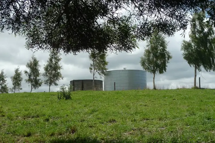 Seventh view of Homely house listing, 194 Pennells Road, Scottsdale TAS 7260