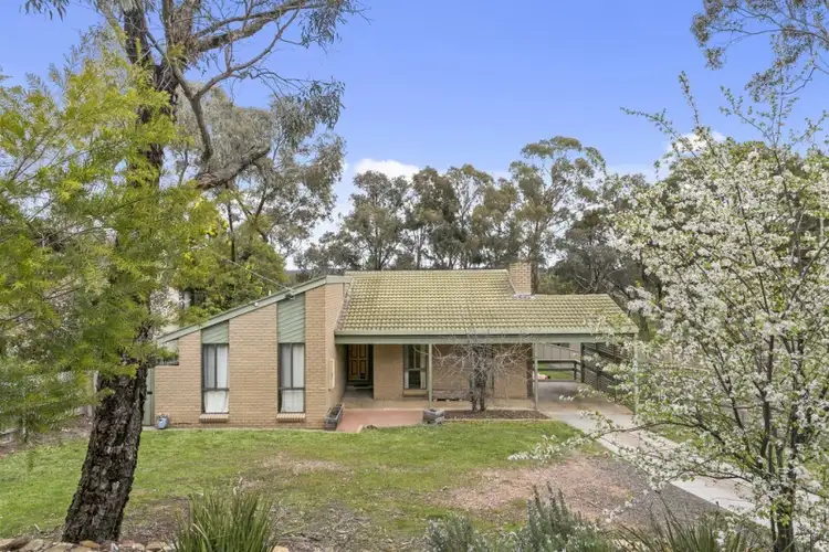 22 Wirth Street, Flora Hill VIC 3550