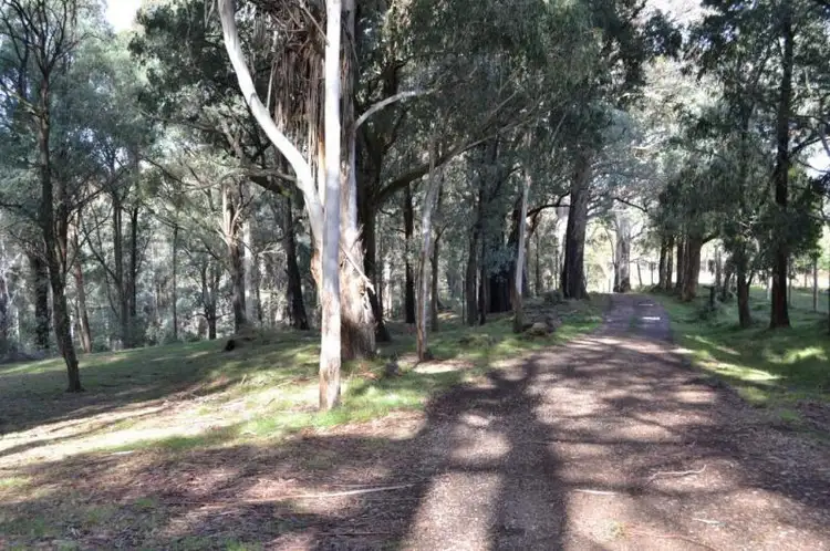 Fourth view of Homely house listing, 3092 Mansfield-Whitfield Rd, Tolmie VIC 3723