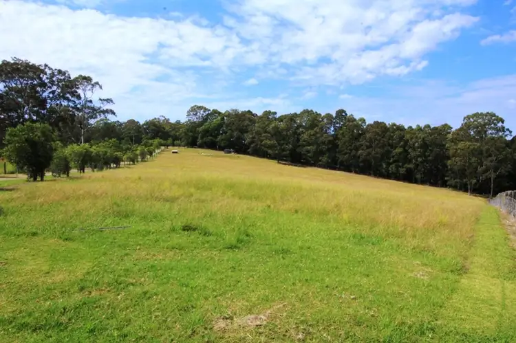 Second view of Homely rural property listing, 252 Wangat Trig Road, Dungog NSW 2420
