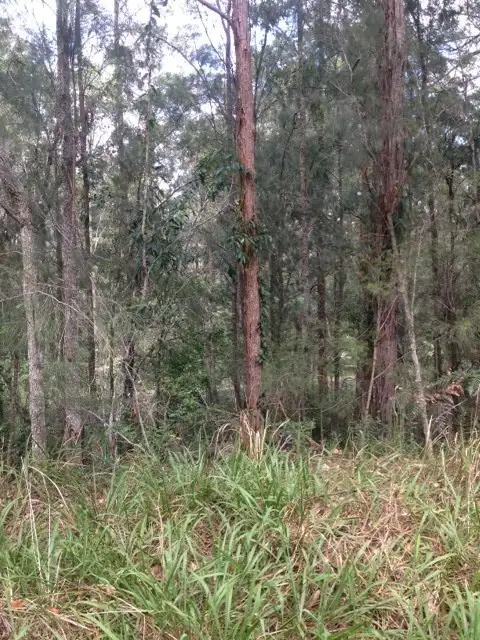 Fifth view of Homely land listing, 970 Kungala Rd, Lanitza NSW 2460