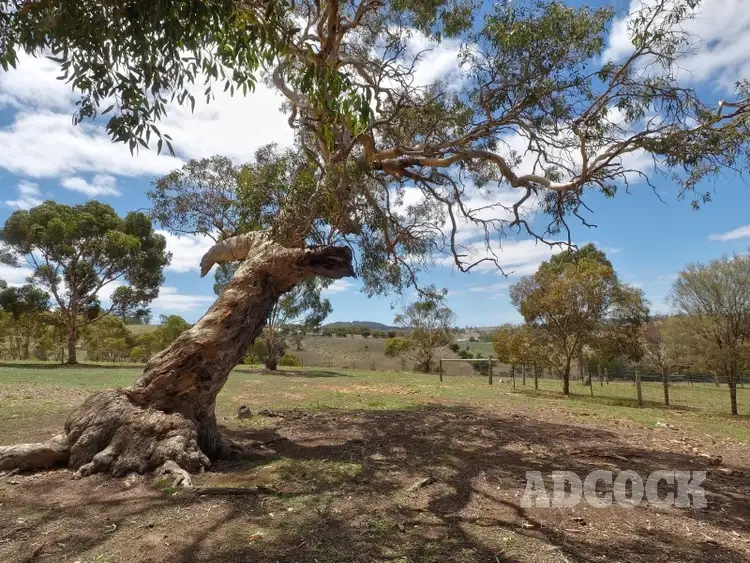 Third view of Homely house listing, 213 Hender Road, Mount Barker Springs SA 5251