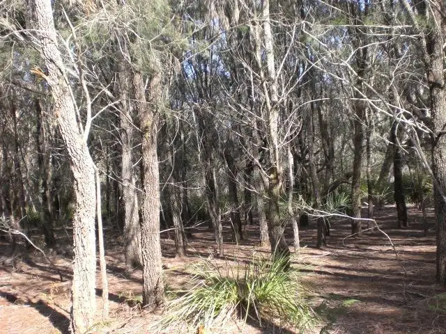 Third view of Homely land listing, Address available on request