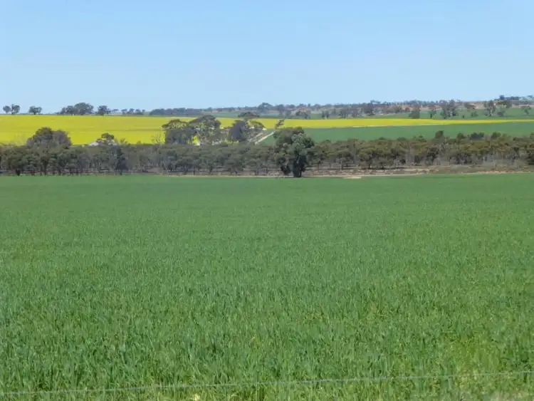 Fifth view of Homely land listing, Lot 5749 Maynard Road, Quairading WA 6383