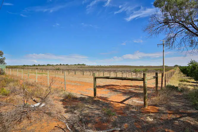 Main view of Homely rural property listing, Lots 1 & 2 Sculthorpe Road (south), Nangiloc VIC 3494