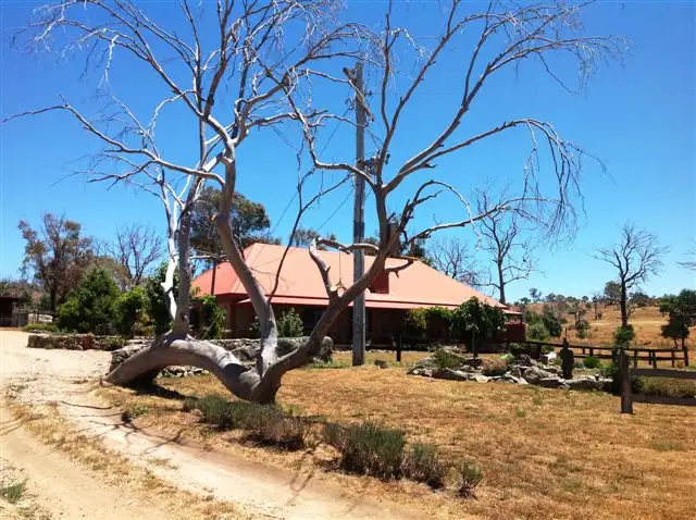 Main view of Homely house listing, 654 Dalgety Road, Berridale NSW 2628