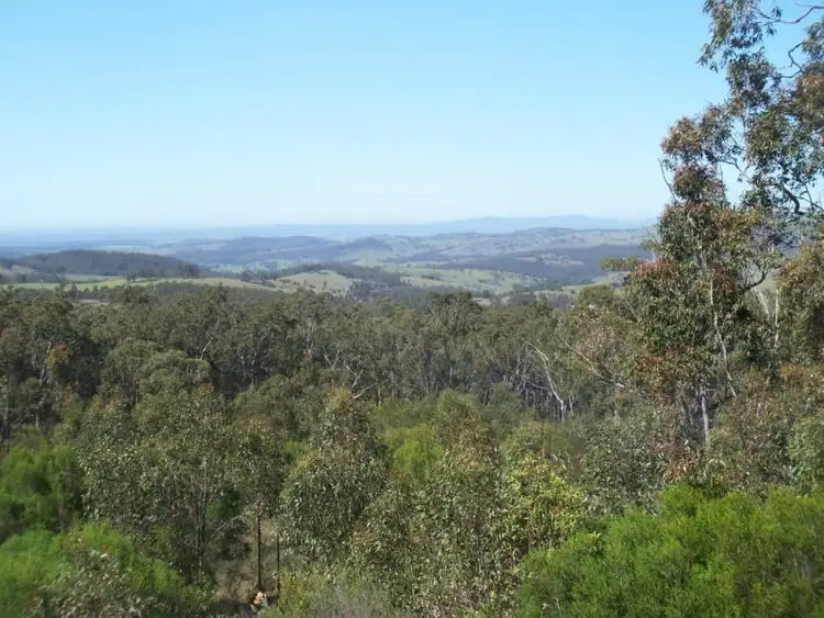 Fourth view of Homely rural property listing, Lot 10 Goanna Grove, Vacy NSW 2421