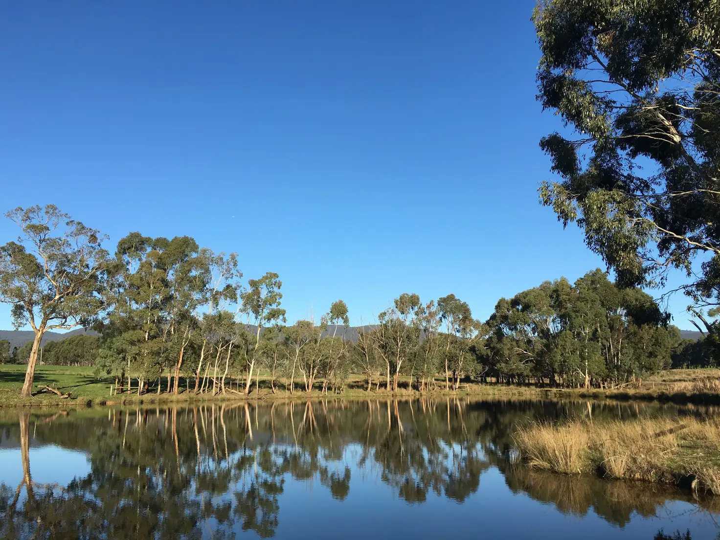 Main view of Homely rural property listing, Lot 4, 246 Two Hills Road, Glenburn VIC 3717