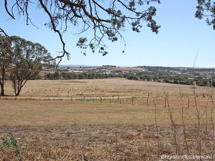 LOT 3 Kunzea Place, Springvale NSW 2650