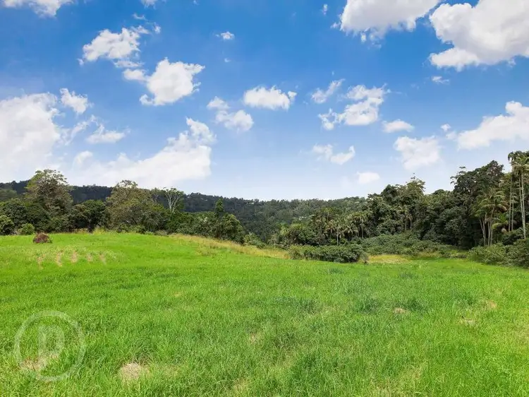 Third view of Homely land listing, 111 Licuala Drive, Tamborine Mountain QLD 4272