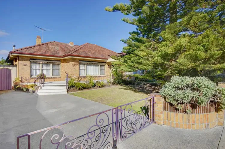 49 Calder Street, Manifold Heights VIC 3218