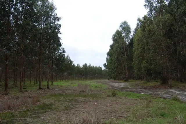 Main view of Homely rural property listing, Lot 23 Morande Road, Narrikup WA 6326