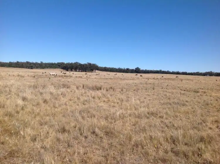 Sixth view of Homely rural property listing, 2511 OLD COOTAMUNDRA ROAD, Temora NSW 2666