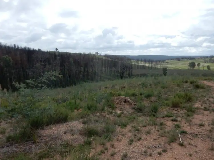 Fourth view of Homely rural property listing, 4494 TUMBARUMBA ROAD, Humula NSW 2652