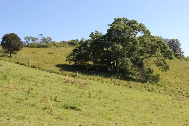 Seventh view of Homely land listing, 103 Brewers Road, Dungog NSW 2420