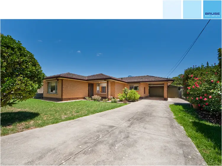 22 Primrose Avenue, Paradise SA 5075
