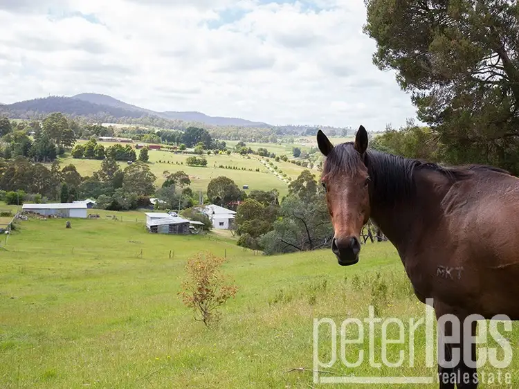 176 Johnstons Road, Hillwood TAS 7252