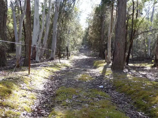 Seventh view of Homely land listing, 265 Gumnut Crescent, Bungonia NSW 2580
