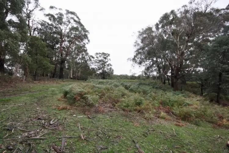 Seventh view of Homely land listing, Lot 1 Red Hill Track, Raglan VIC 3373