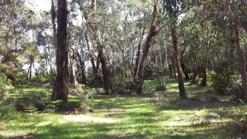 Main view of Homely rural property listing, 5634 South Gippsland Highway, Welshpool VIC 3966