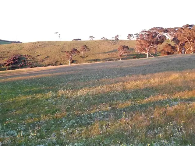 Seventh view of Homely rural property listing, Pcs 15, 16 Bedlam Flat Road, Delamere SA 5204