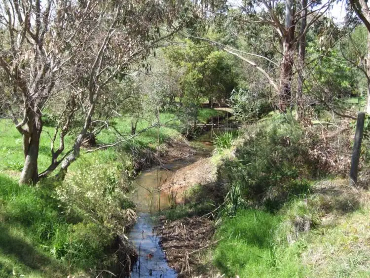Fifth view of Homely land listing, 19 Bentley Street, Donnybrook WA 6239