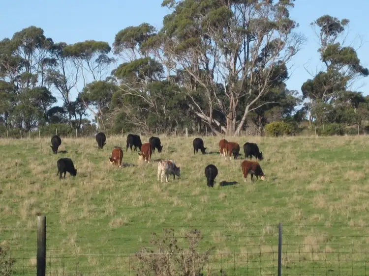 Sixth view of Homely rural property listing, 18A CARR, Gladstone TAS 7264