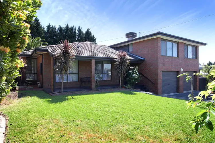 Main view of Homely house listing, 19 Hawick Court, Greenvale VIC 3059