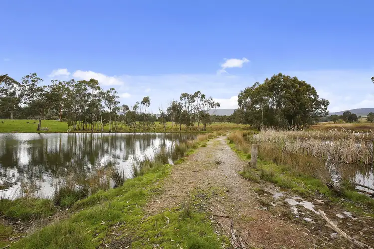 Seventh view of Homely rural property listing, Lot 4, 246 Two Hills Road, Glenburn VIC 3717