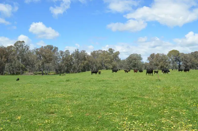 Main view of Homely rural property listing, Address available on request