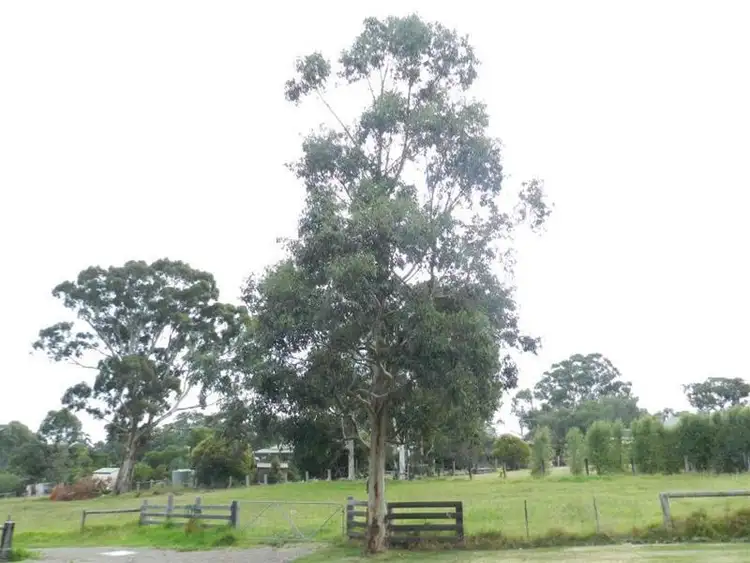 Sixth view of Homely land listing, Lot 1/11A Punt Road, Johnsonville VIC 3902