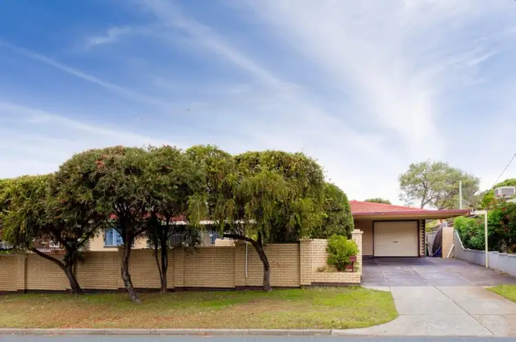 Fifth view of Homely house listing, 19 Davies Crescent, Kardinya WA 6163
