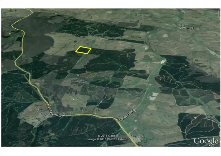 Fifth view of Homely rural property listing, 4494 TUMBARUMBA ROAD, Humula NSW 2652