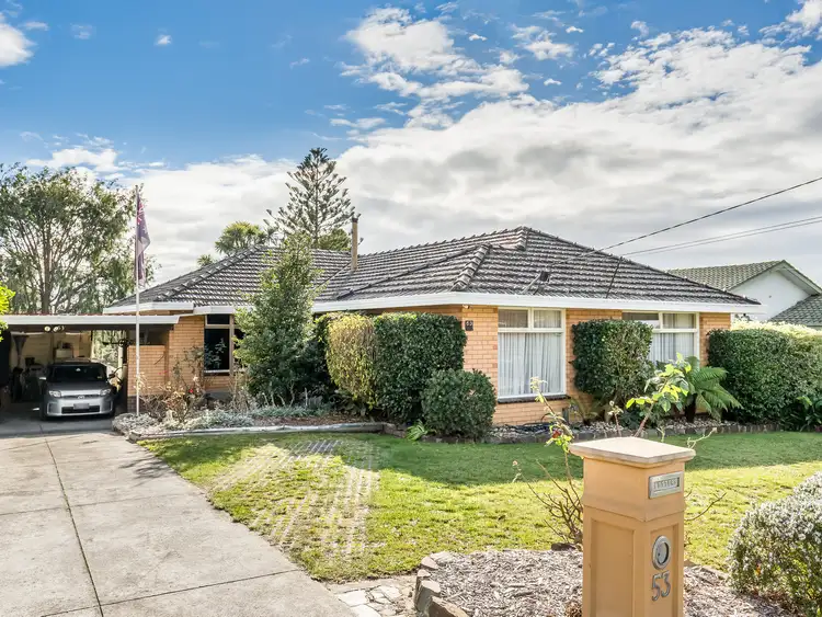 Main view of Homely house listing, 53 Catherine Avenue, Mount Waverley VIC 3149