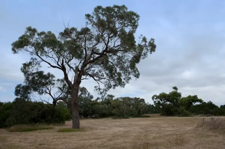 Third view of Homely rural property listing, Address available on request