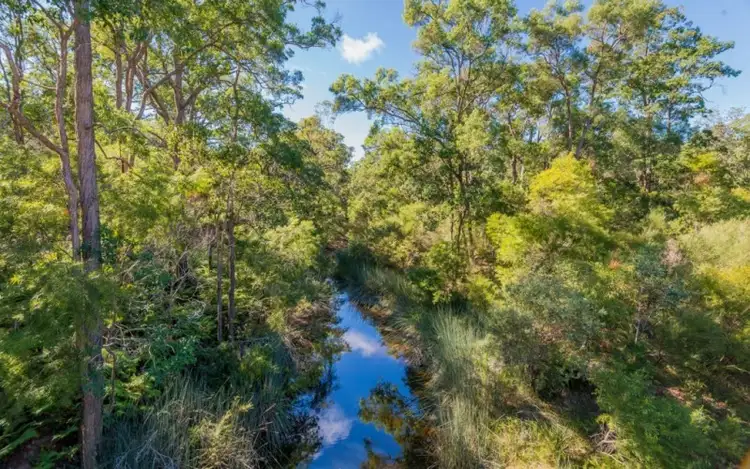 Second view of Homely rural property listing, 768 Coaldale Road, Fortis Creek NSW 2460