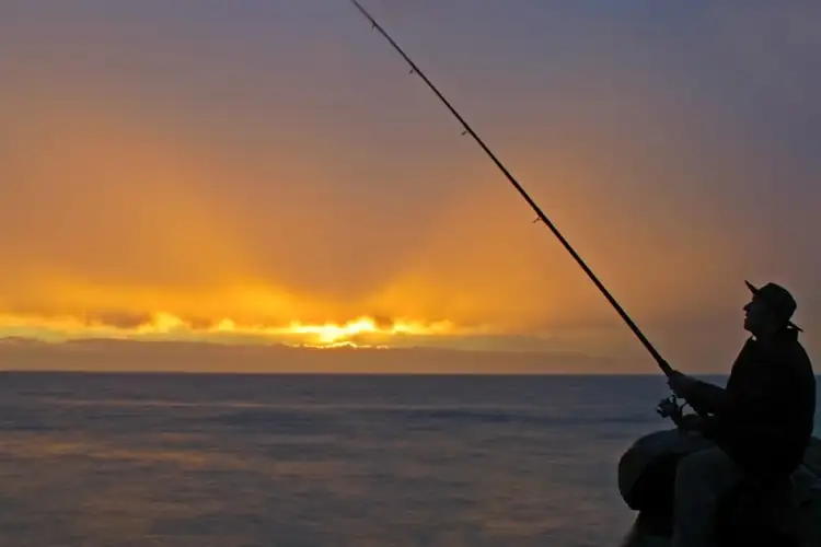 Fourth view of Homely house listing, 1 Peet Crescent, Trigg WA 6029