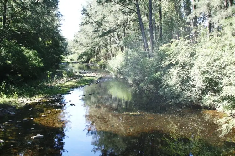 Fifth view of Homely rural property listing, 78 Dowlings Road, Dungog NSW 2420