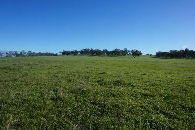 Seventh view of Homely rural property listing, 183 Mandiakon Road, Beverley WA 6304