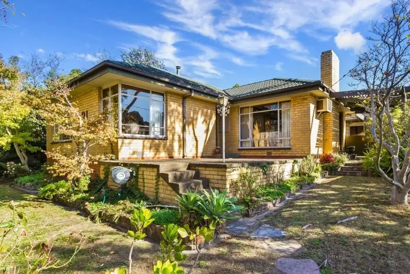 Main view of Homely house listing, 631 Middleborough Road, Box Hill North VIC 3129