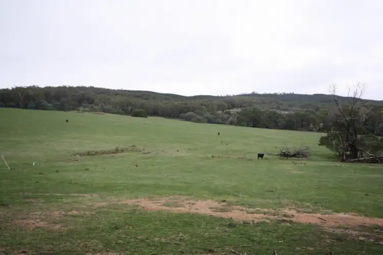 Third view of Homely land listing, Lot 1 Red Hill Track, Raglan VIC 3373