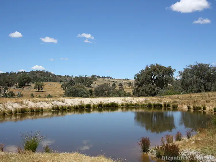 Fifth view of Homely rural property listing, 150 Gelston Heights Road, Gelston Park NSW 2650
