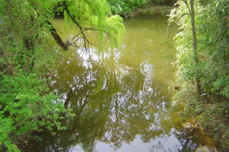 Main view of Homely rural property listing, Address available on request
